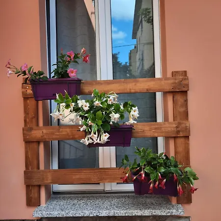 Rosa Nel Cuore Di 度假居